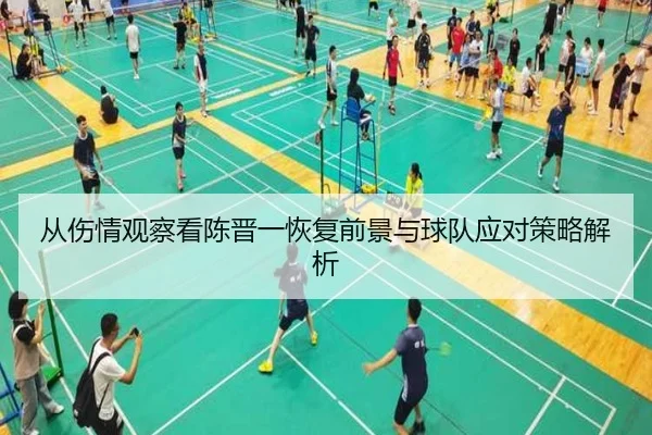 从伤情观察看陈晋一恢复前景与球队应对策略解析